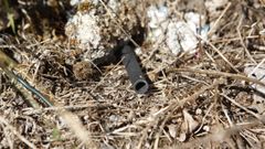 Un �tuto�, cilindro de pl�stico utilizado para esnifar coca�na.