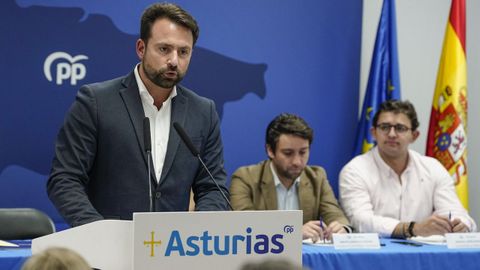 El presidente del Partido Popular de Asturias, lvaro Queipo, durante la reunin del Comit Ejecutivo Regional del PP