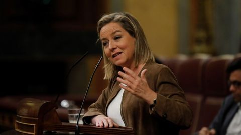 La diputada de Coalici�n Canaria, Ana Oramas