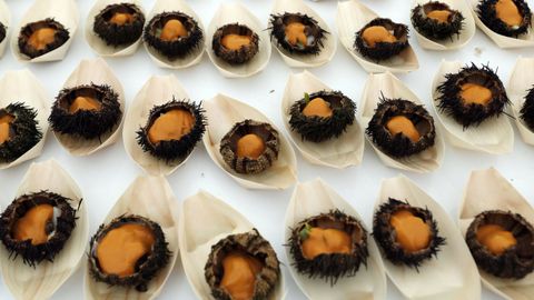 Showcooking de erizo de mar