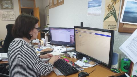 Rosa Romero, directora de la Escola Politcnica Superior del campus de Lugo, en su despacho este martes