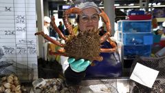 La centolla apunta a ser l�der en ventas para las fiestas en Barbanza