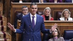 El presidente del Gobierno, Pedro S�nchez, responde en una sesi�n de control al Gobierno en el Congreso.
