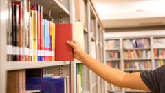 Estanter�as de una biblioteca escolar