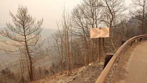 Así quedó la zona de Vilarello (Cervantes) tras el incendio de mediados de mes