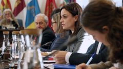 La candidata a presidir la Diputaci�n de Lugo por el PSOE, Carmela L�pez, con Jos� Tom� al fondo, ya como diputado no adscrito