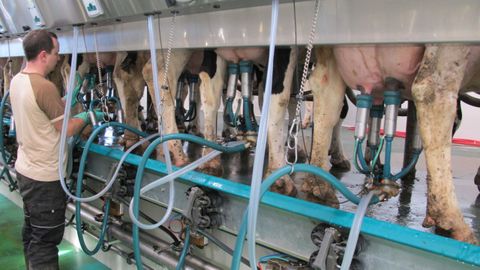 El Ligal se encarga de analizar toda la leche que se produce en Galicia