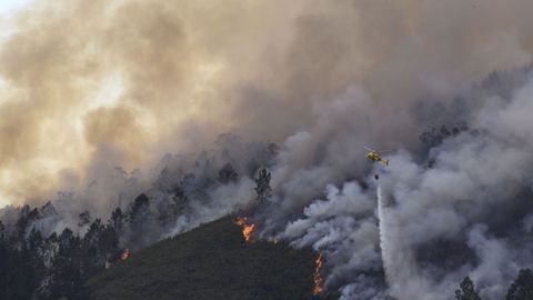 Vista del incendio forestal en Grado