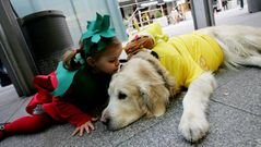 Ney,vestido de Bob Esponja