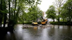 Limpieza del r�o Bola�os en Arteixo