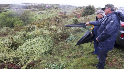 Dos vecinos señalan la planta invasora en el lugar de O Pieiro, en Ferrol