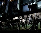 El precio gallego es quinto por la cola a nivel auton�mico.