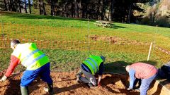 Excavaciones arqueol�gicas en Oviedo