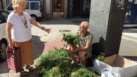 San Juan A Coru�a: venta de flores de San Juan 