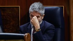 El ministro Fernando Grande-Marlaska, hoy en la sesi�n de control en el Congreso.