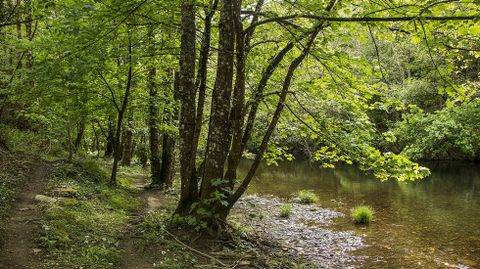 Buena parte del itinerario discurre por caminos que corren paralelos al cauce del Cabe