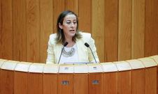 La conselleira compareci� ayer por primera vez ante el pleno. 