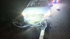 Un aspecto del coche siniestrado tras sufrir el choque con el jabal�