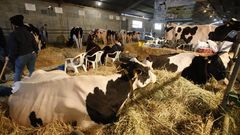 Vacas y Maquinaria, protagonistas en Moexmu