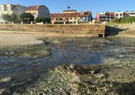 A lo largo del verano hubo varios episodios contaminantes; uno de los m�s graves, en Carril. 