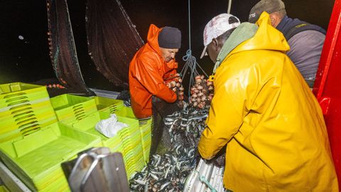 Tripulantes de un cerquero gallego pescando sardina el pasado junio