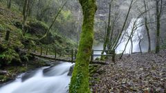 Un aspecto de la cascada de Vieiros, una de las dos que se visitar�n en el recorrido organizado por el Ayuntamiento de Quiroga