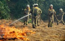 Un incendio en Sober que se produjo esta semana en un prado de hierba debido a un tractor. 
