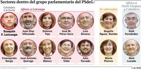 Sectores dentro del grupo parlamentario del PSdeG