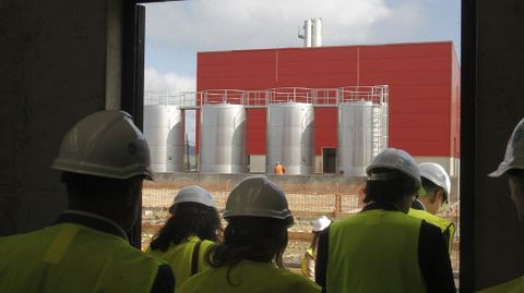 La empresa Iffe Biotech reactivar� el proyecto para producir omega 3 en As Somozas