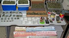La Guardia Civil incaut� droga, semillas, b�sculas y un tel�fono m�vil