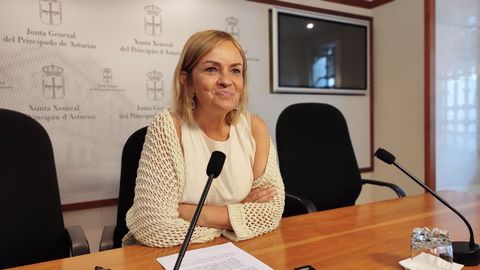 La diputada del Grupo Mixto, Covadonga Tomé.