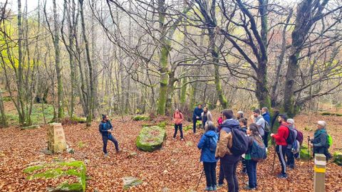 Un grupo que recorre el bosque con Daniel y atiende a sus indicaciones