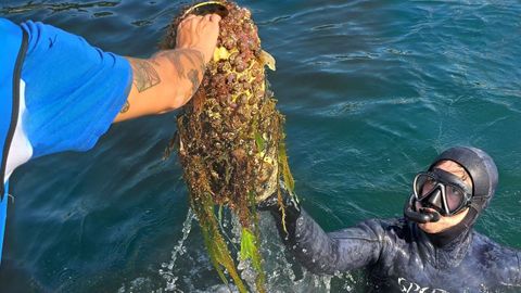Uno de los buceadores voluntarios retirando basura marina en Baiona, convocado por Afundaci&oacute;n, dentro del proyecto Plancton.