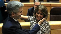 Gritos de dimisi�n en el Senado contra la ministra de Justicia