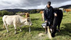 Ganader�a de Miguel L�pez en Sumoas, Xove