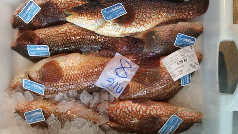 Pescados del da, con la etiqueta pescadeRas, en una foto de archivo