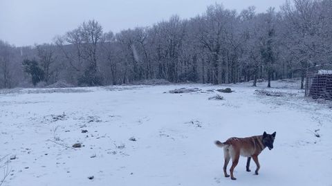 Nevada en Portomarti�o, Xesta, A Lama