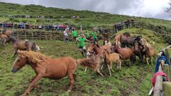 Imagen de la 43 edici�n de la Rapa das Bestas do Campo do Oso