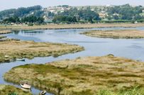 El desarrollo urban�stico de Mi�o afecta a las marismas. 