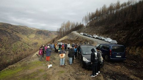 En el trabajo de replantaci�n participaron cerca de medio centenar de personas