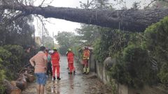 Efectos del fuerte viento en Valencia