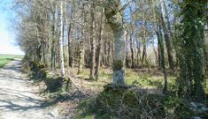 Emplazamiento de los restos del Hospital de San Gabriel, en Frontoi de Vilabade, en Castroverde. 