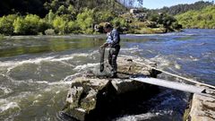 Pesca de la lamprea en las pesqueiras del Mi�o, en el concello de Arbo.