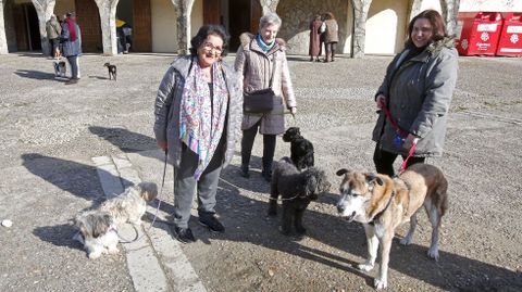 Bendici�n de mascotas en la iglesia de Campolongo