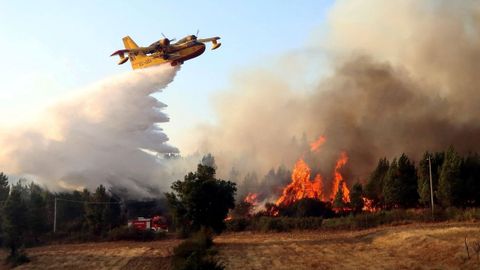 Un avi�n extingue un fuego en la localidad de  Sao Vicente da Beira