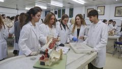 Alumnos de primero de Medicina en un aula de la facultad.