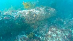 Uno de los ca�ones encontrados en Punta do Sega�o