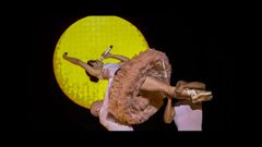 Rosal&iacute;a, durante una de sus actuaciones en el Palau Sant Jordi de Barcelona