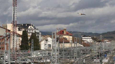 Las cig�e�as ya est�n de vuelta en la estaci�n de tren de Monforte a pesar del derribo de todos sus nidos a principios de este invierno
