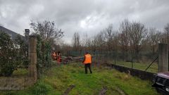 Un testigo grab� el incidente con los perros de caza que mataron a una yegua